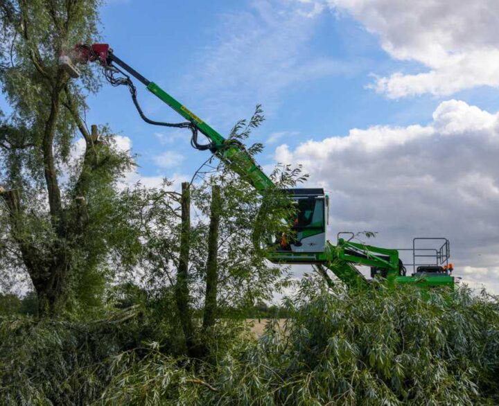 Wood handling revolution