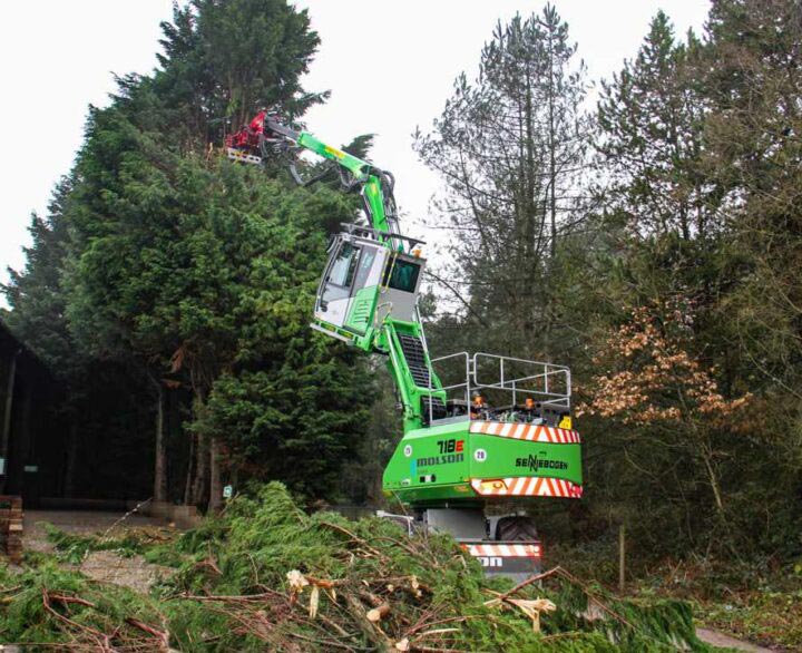 A de-vegetation revolution?