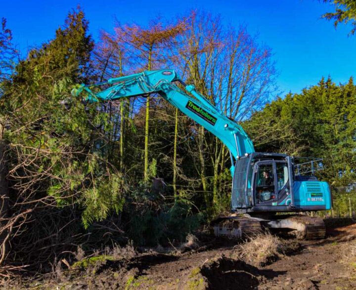 Treefellers clearing the way