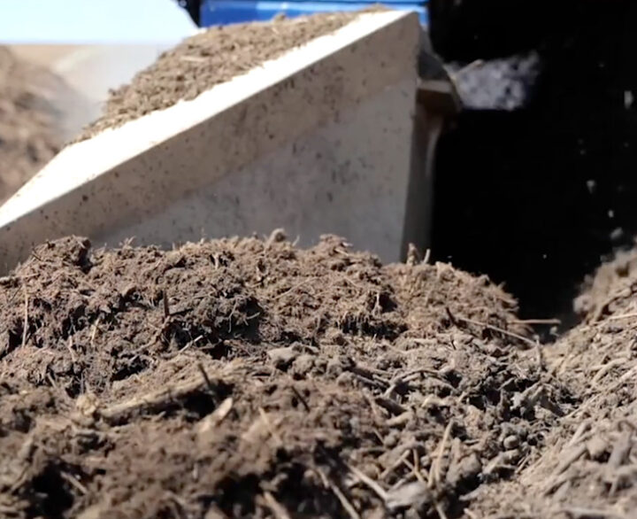 Eggersmann BACKHUS A 38 - Windrow Turner