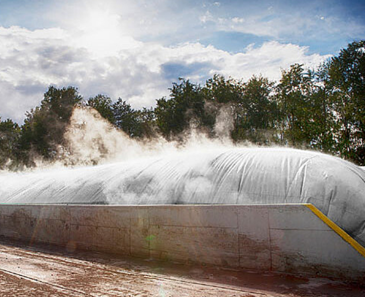 Eggersmann BACKHUS CON 80 - Windrow Turner