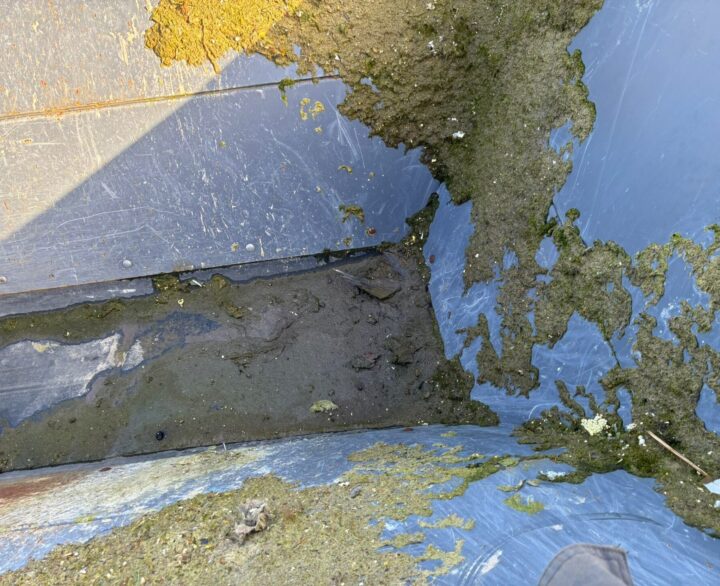 SCREENBEE SB15.44 S - Used Screeners