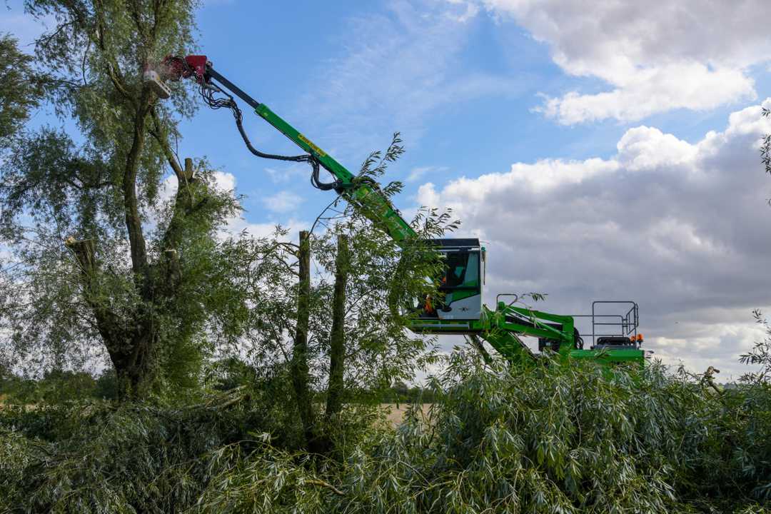 Wood handling revolution