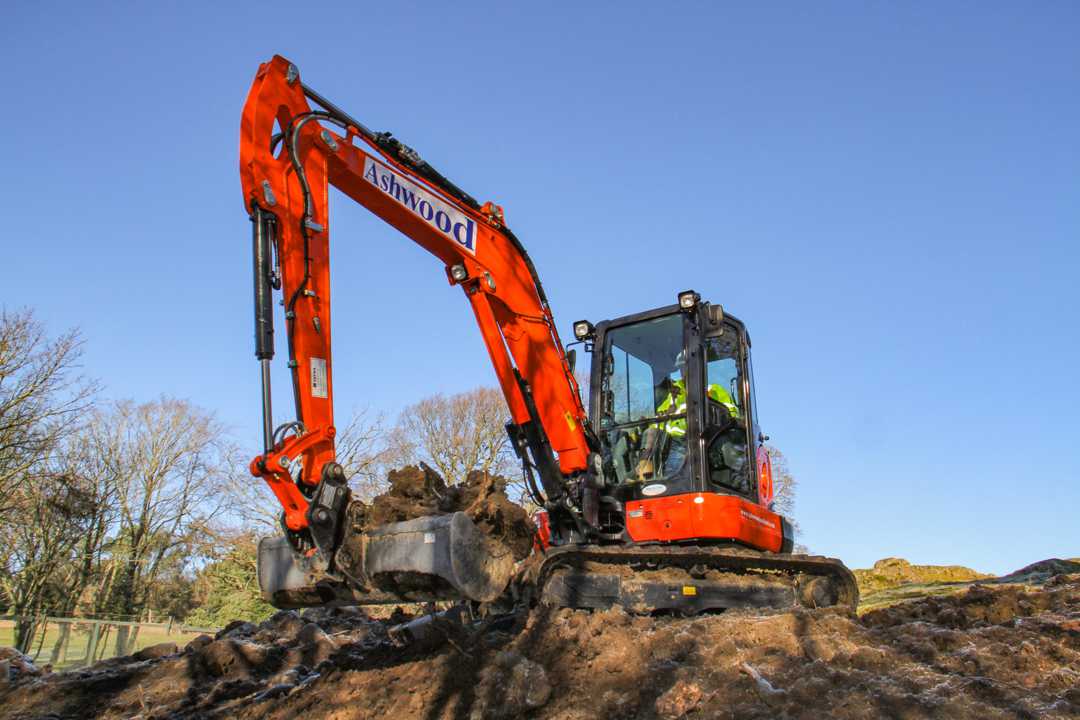 Digging the foundations for Giant Panda survival