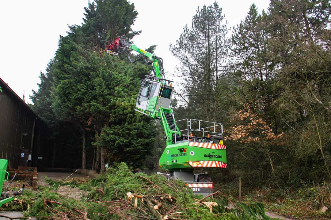 A de-vegetation revolution?