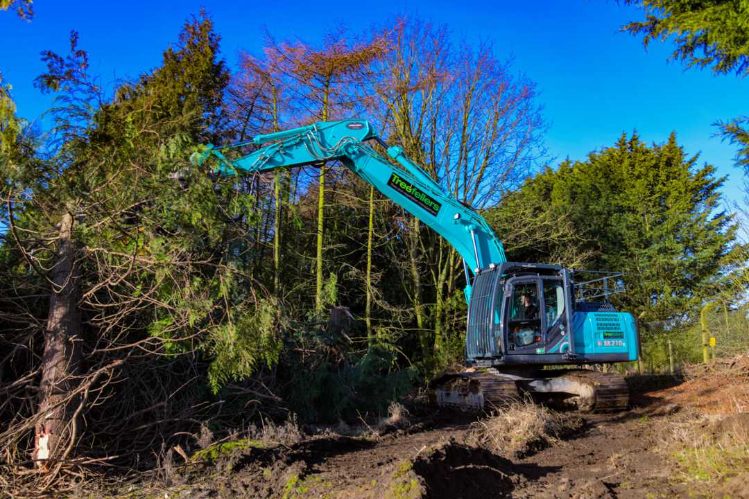 Treefellers clearing the way