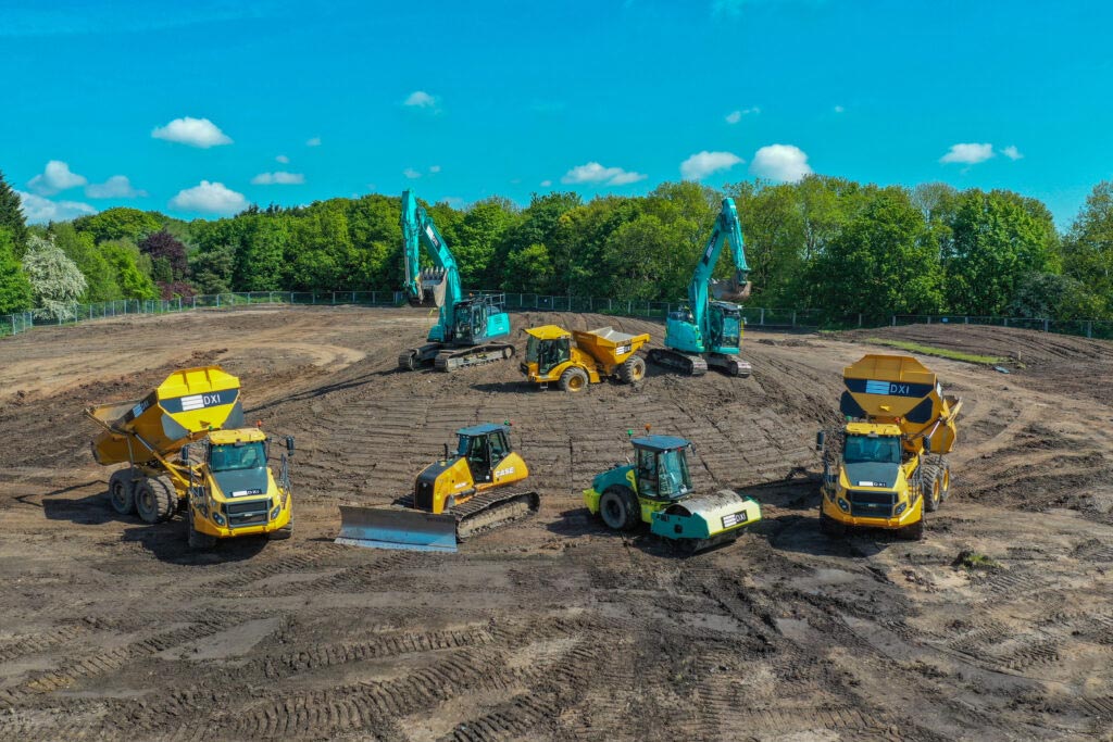 DXI regeneration site