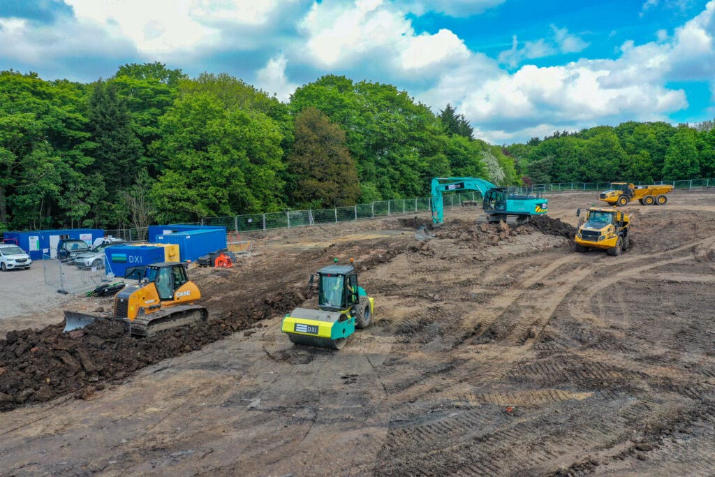 DXI regeneration site