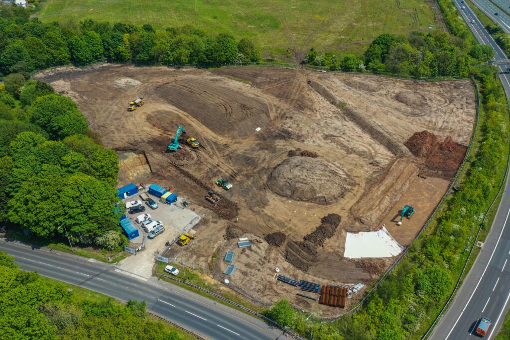 DXI regeneration site