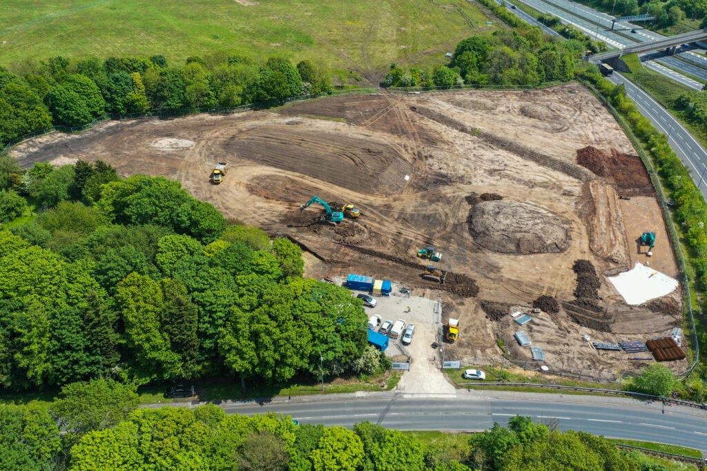 DXI regeneration site