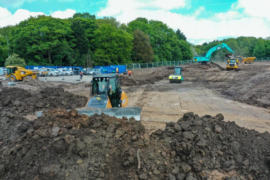 DXI regeneration site